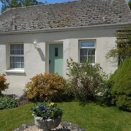 Glascoed Farmhouse Carmarthen Kültér fotó